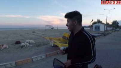 Köpeklerin saldırısına uğradı