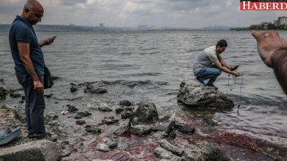 Küçükçekmece gölü ölü balık kaynıyor!