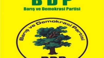BDP'nin hedefi grup
