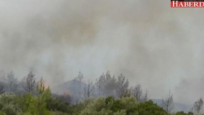 Şimdi de Milas yanıyor!