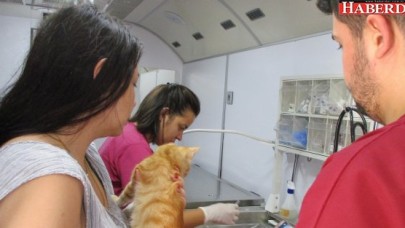 Beylikdüzü hayvanları ihmal etmedi