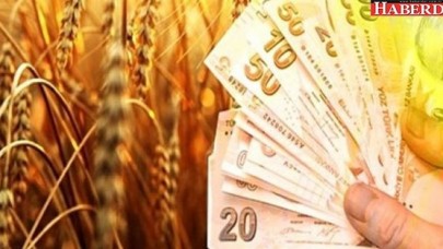 Tarımda 4.3 milyarlık batık