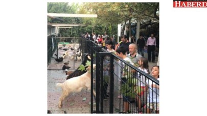 Türkiye Deniz Canlıları Müzesi ziyaretçi rekoru kırdı