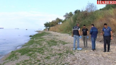 Poşetten bebek cesedi çıktı!