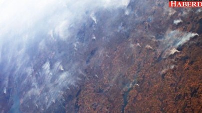 Dünyanın akciğerleri alevler içinde! Dünya tehdit altında