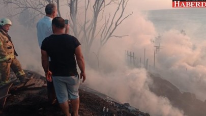 650 tavuk telef oldu