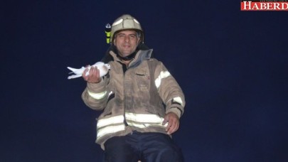 Güvercin operasyonu