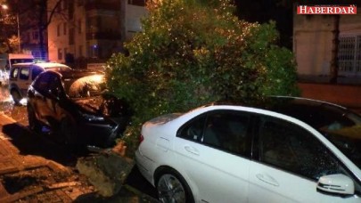 Şiddetli rüzgarla kamyonetin kasası koptu ağaç otomobillerin üzerine devrildi