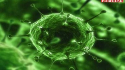 Coronavirüsünün benzeri SARS nedir? SARSın belirtileri nelerdir?