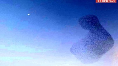 Sığırcıkların gökyüzünde muhteşem dansı