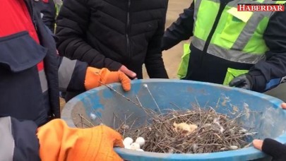 Son anda kurtardılar