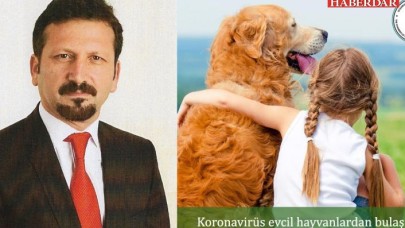 Koronavirüs evcil hayvanlardan bulaşır mı?