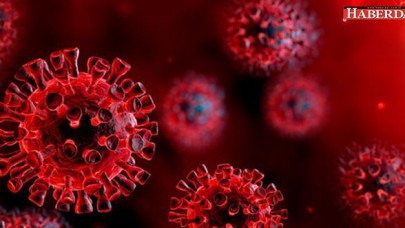 Dünya Sağlık Örgütü koronavirüs aşısı için tarih verdi!