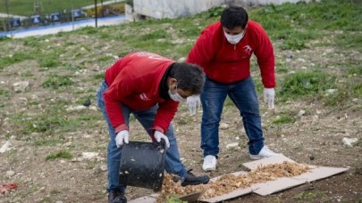 SOKAK HAYVANLARI İÇİN GÜNDE 650 KİLO MAMA