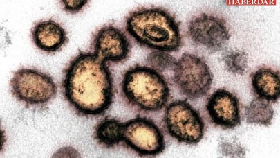 Bilim insanlarından koronavirüs keşfi: 40 mutasyon geçirmiş virüs bulundu