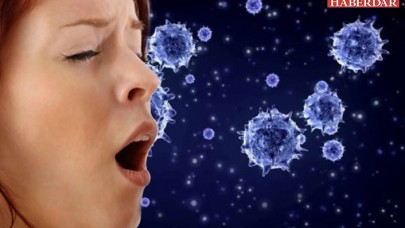 DSÖ havadan bulaşmıyor demişti, Japon bilim insanlarından yeni koronavirüs iddiası