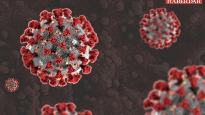 Korkutan koronavirüs araştırması! Tahmin edilenden iki daha fazla