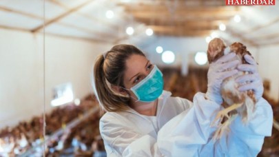 Şimdi de kuş gribi alarmı! Valilik, tüm muhtarları uyardı