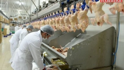 Fabrika önlem almadı; Gedik Piliçte koronavirüs patladı