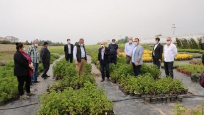 Aromatik ve Tıbbi Bitkiler Borsası Büyükçekmece’de kuruluyor