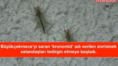 Büyükçekmeceyi Kronomid korkusu sardı