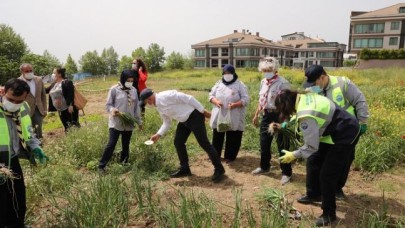 Engel tanımayan izciler meyve ve sebze yetiştirmeye başladı!
