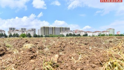 2. YAŞAM BAHÇESİ İÇİN ÇALIŞMALAR BAŞLADI