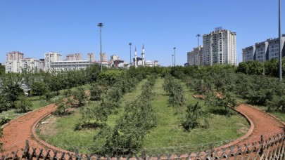 KÜÇÜKÇEKMECE HOBİ BAHÇESİ’NDE PANDEMİ TEDBİRLERİ