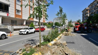 BEYLİKDÜZÜ’NDE VATANDAŞIN SEÇTİĞİ AĞAÇLAR DİKİLMEYE DEVAM EDİYOR