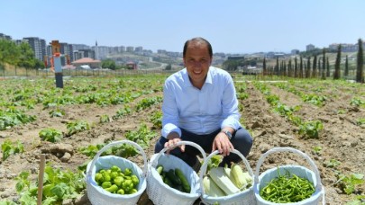 BAŞKAN ÇALIK YAŞAM BAHÇESİ’NİN MAHSULLERİNİ TOPLADI