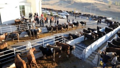 Bayram öncesi korkutan koronavirüs uyarısı: 1 milyon kişi...