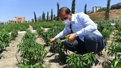 YAŞAM BAHÇESİ İLE İHTİYAÇ SAHİPLERİNİN YÜZÜ GÜLÜYOR