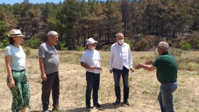 “Gelibolu ormanlarında yangının ana sebebi tahıl tarlalarıdır”