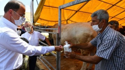 BEYLİKDÜZÜ KURBAN BAYRAMINA HAZIR