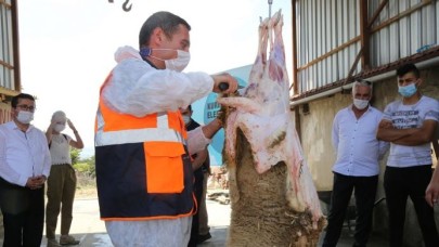 Kurbanını kendisi kesmek isteyenlere uygulamalı eğitim verildi
