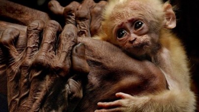 Uluslararası Güler Ertan Fotoğraf Yarışması Sonuçlandı