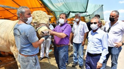 BEYLİKDÜZÜ MODERN KURBAN SATIŞ VE KESİM ALANI TAM NOT ALDI