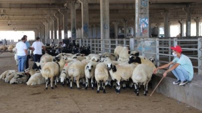 Bayram öncesi önemli uyarılar: Virüs bu yolla bulaşabilir, dikkat