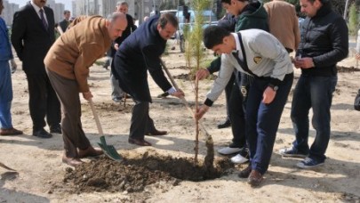 İLKÖĞRETİM ÖĞRENCİLERİ FİDANLARI TOPRAKLA BULUŞTURDU