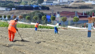 YAŞAM BAHÇESİ’NDE 20 TON MAHSUL TOPLANDI