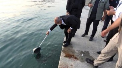 Gürpınardan Büyükçekmece koyuna kadar denizi kirlettiler