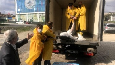 Marmara Denizi açıklarında dev &quot;Kılıç Balığı&quot; yakalandı