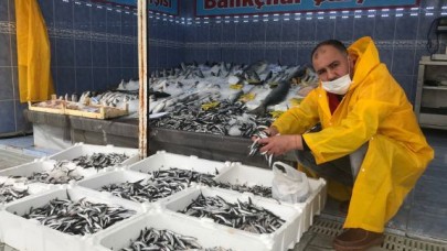 HAMSİNİN FİYATI YARI YARIYA DÜŞTÜ