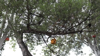 İBB ŞEHİR TİYATROLARI DEKORLARI KUŞ EVLERİNE DÖNÜŞÜYOR