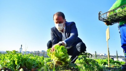 YAŞAM BAHÇESİ’NDE İLK KIŞ HASADI YAPILDI