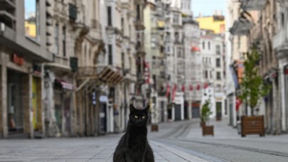 Hafta sonu sokağa çıkma yasağı nasıl olacak? Kimler dışarı çıkabilecek? İşte tüm detayları...