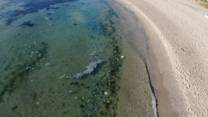 Avcılar’da sahilde deniz anası istilası havadan görüntülendi