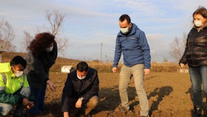 Büyükçekmece’de tarım seferberliği sürüyor