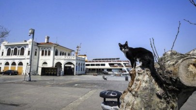 Kabine toplanıyor: Gündem kira düzenlemesi ve sokağa çıkma yasağı