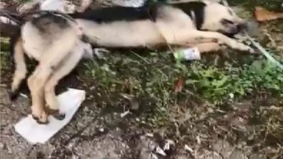 Büyükçekmecede vahşet